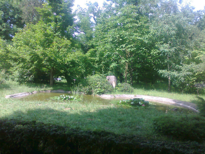 Fotografie0571 - MACEA