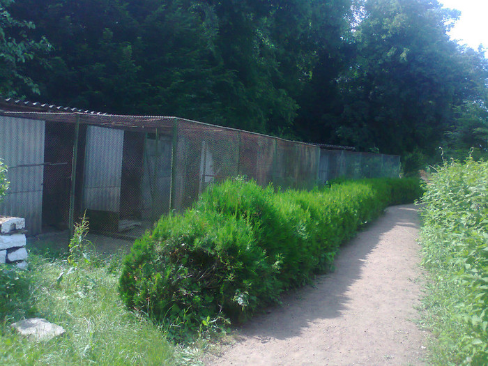 Fotografie0574 - MACEA