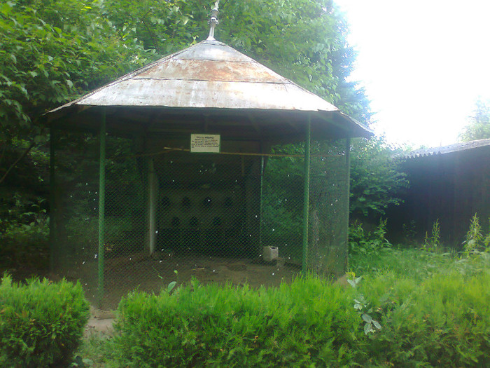 Fotografie0575 - MACEA