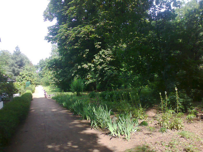 Fotografie0577 - MACEA