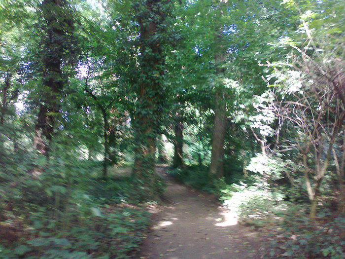 Fotografie1457 - MACEA