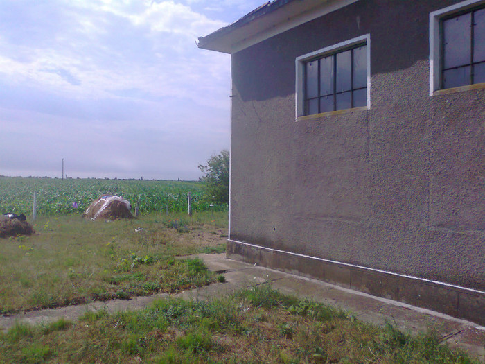 Fotografie0689 - MACEA