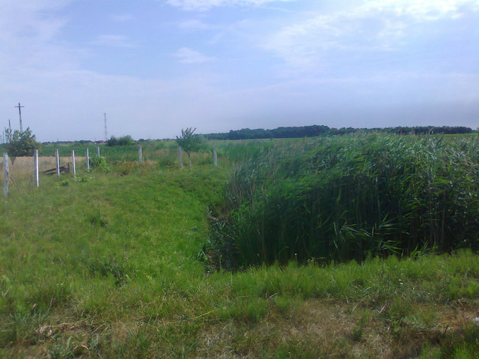 Fotografie0692 - MACEA