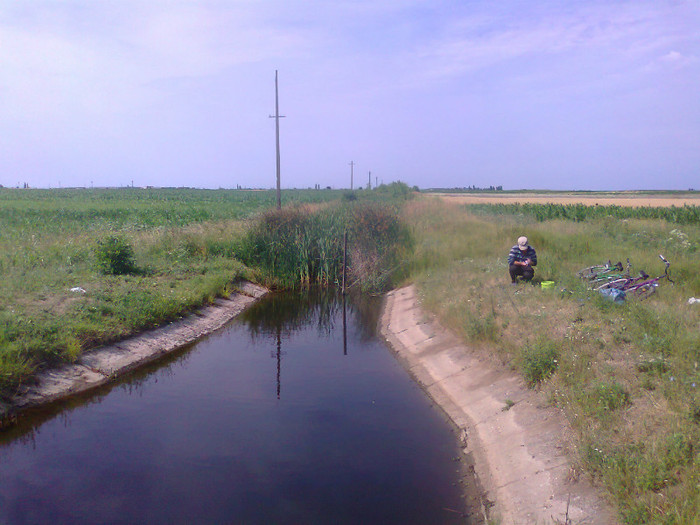 Fotografie0699 - MACEA