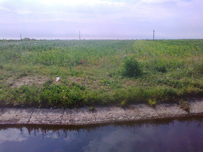 Fotografie0704 - MACEA