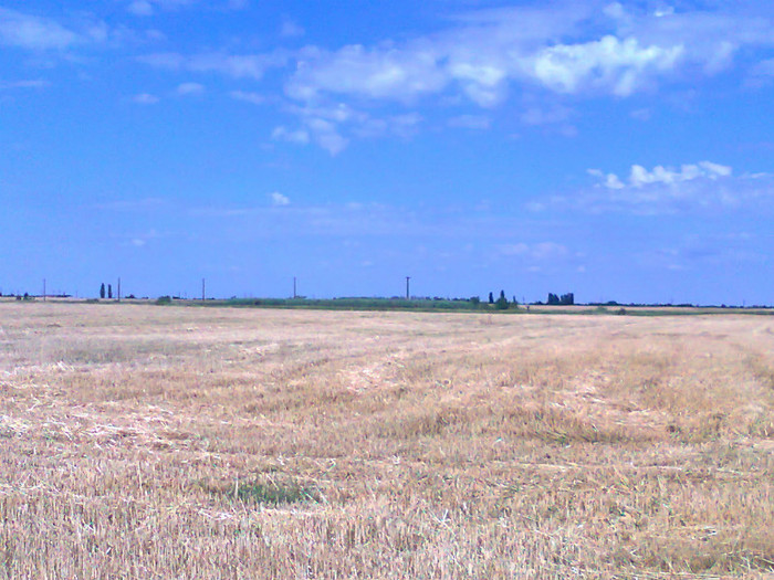 Fotografie0723 - MACEA