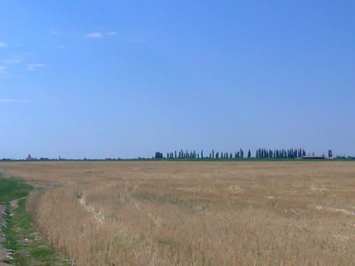 Fotografie0724 - MACEA