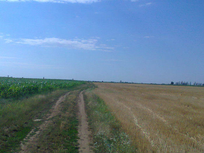 Fotografie0725 - MACEA