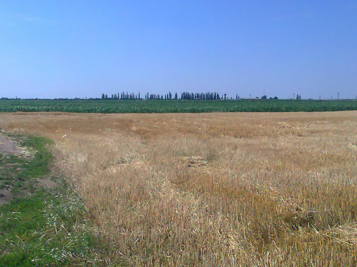 Fotografie0727 - MACEA