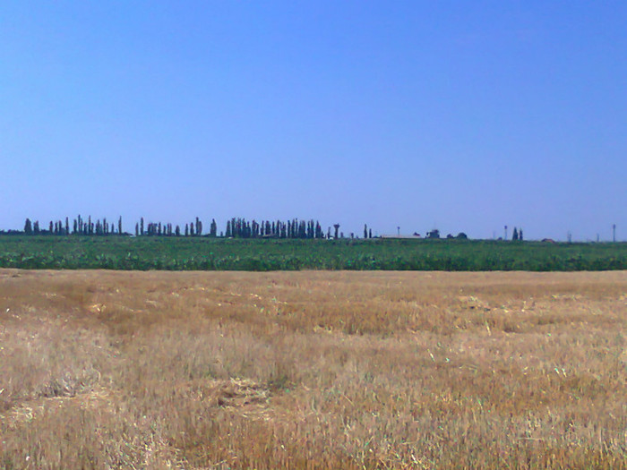 Fotografie0728 - MACEA