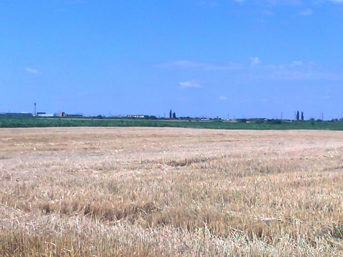 Fotografie0729 - MACEA