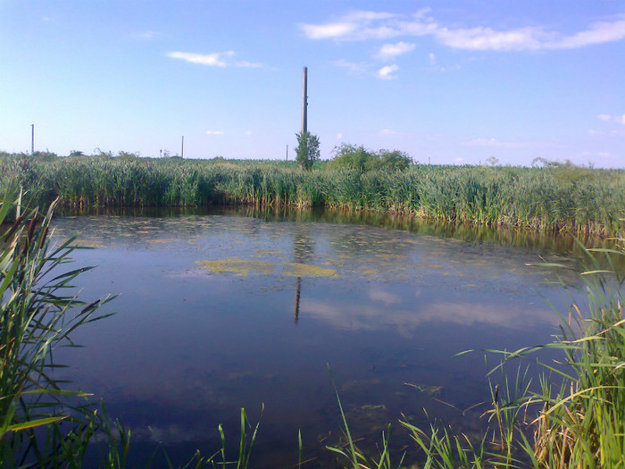 Fotografie0732 - MACEA