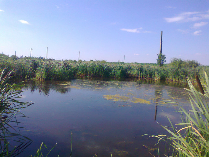 Fotografie0734 - MACEA