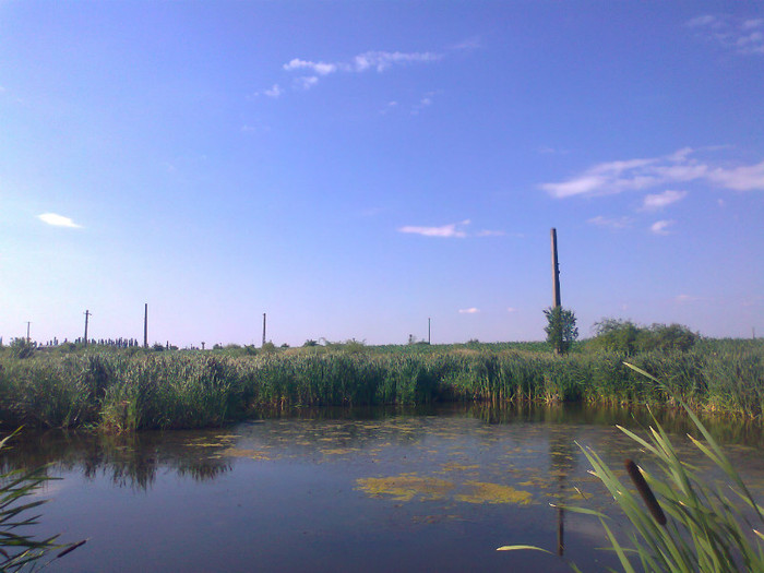 Fotografie0736 - MACEA