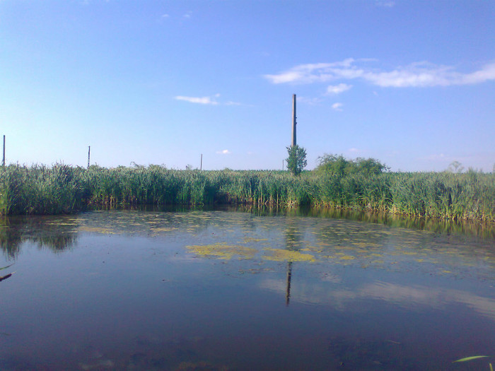 Fotografie0737 - MACEA