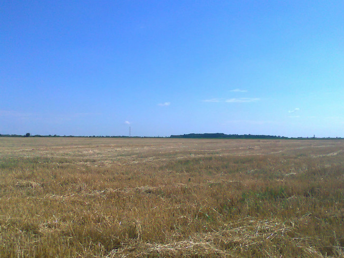 Fotografie0742 - MACEA