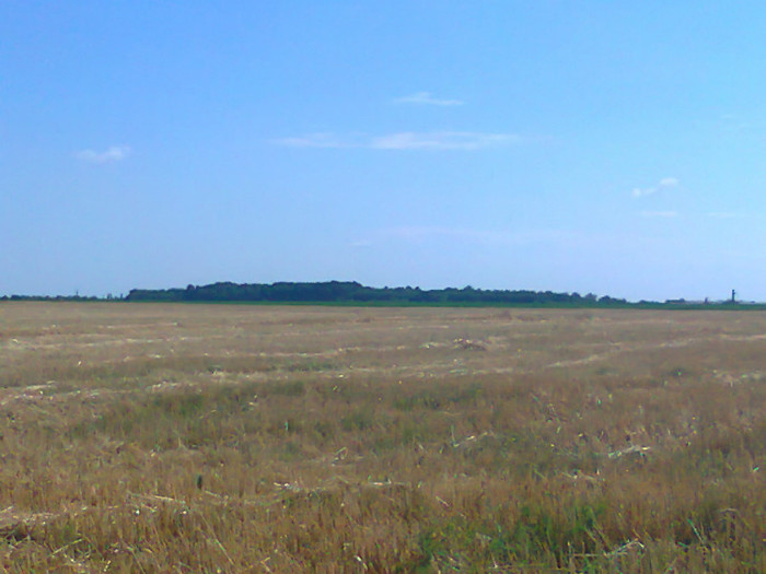 Fotografie0743 - MACEA