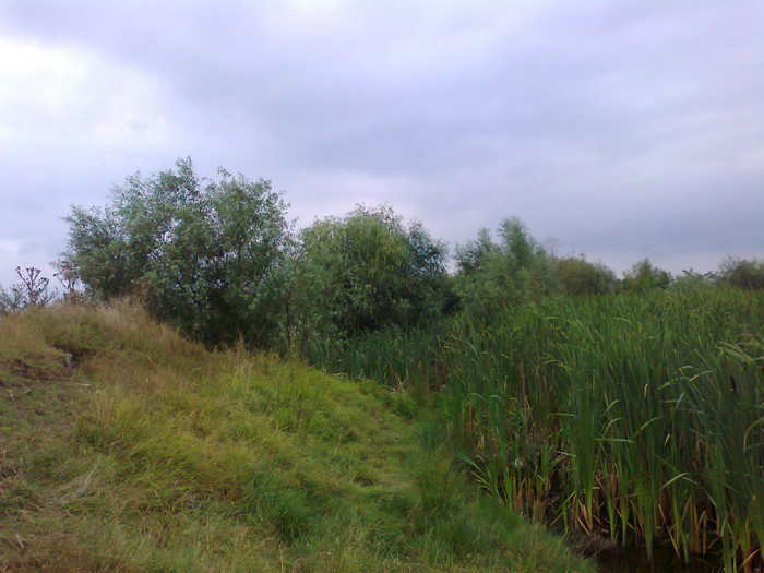 Fotografie1405 - MACEA