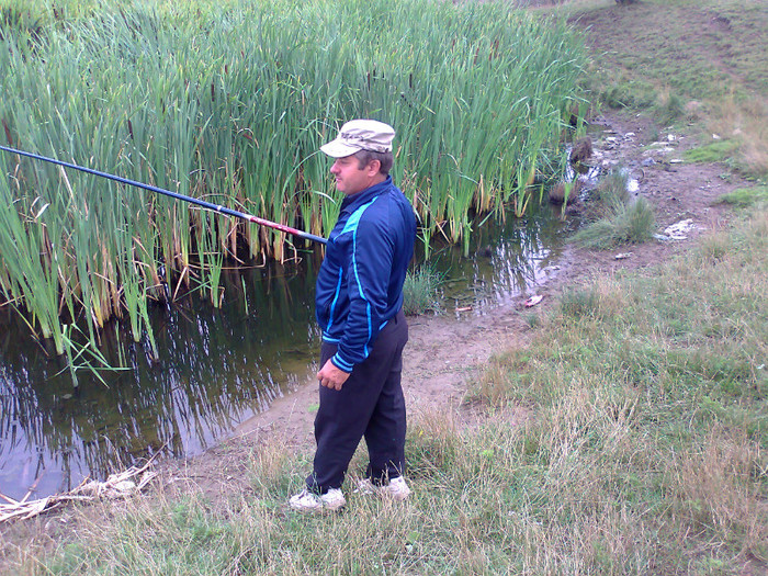 Fotografie1406 - MACEA