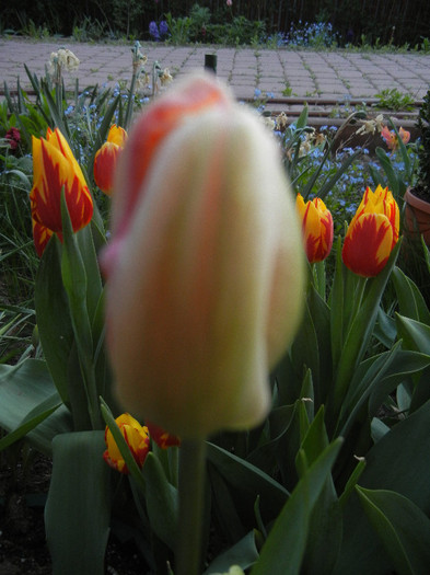 2012, April 26