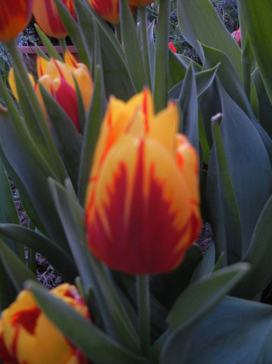 2012, April 26