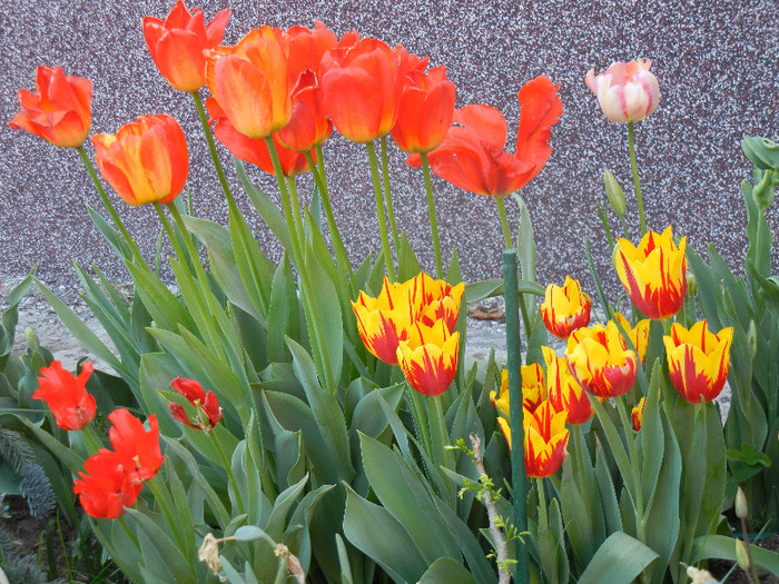 2012, April 28
