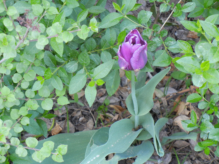 2012, April 28