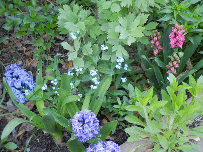 2012, April 28