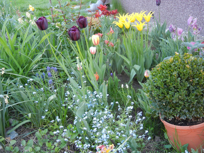 2012, April 28