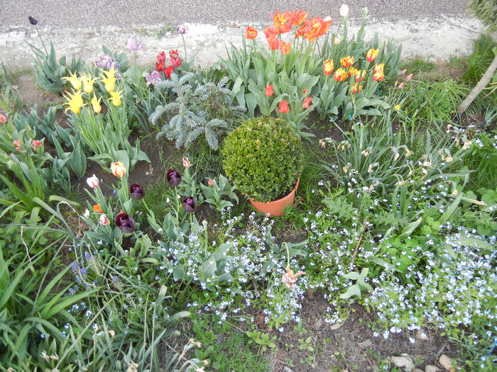 2012, April 28