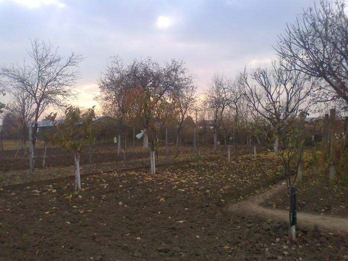 Fotografie0041 - MACEA