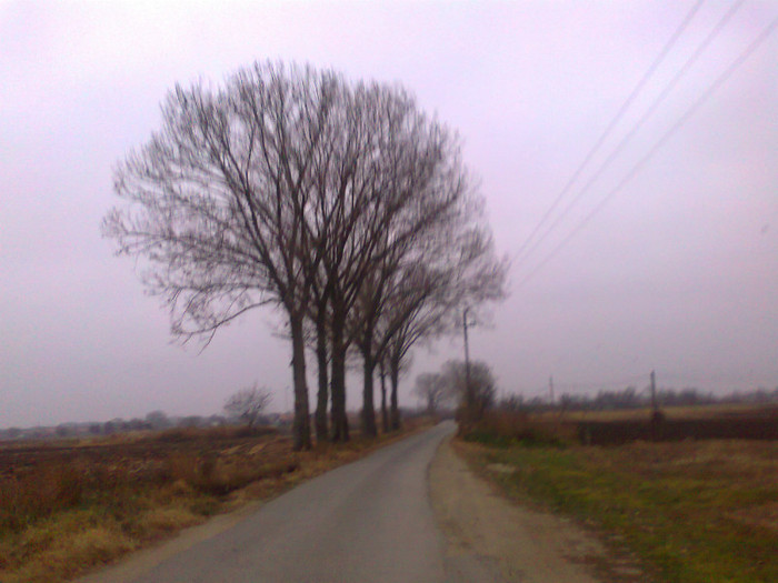 Fotografie0092 - MACEA