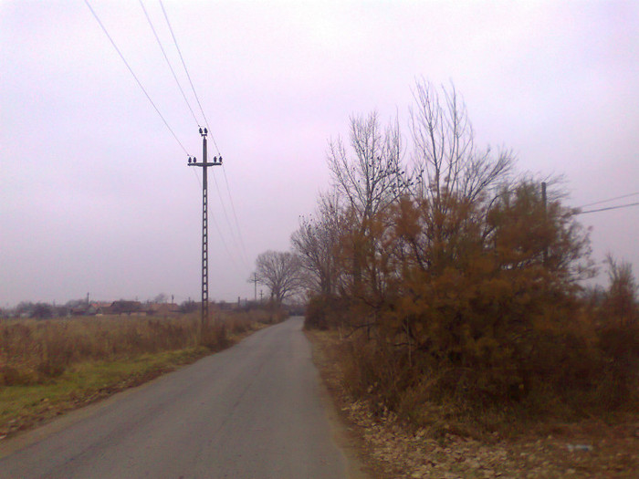 Fotografie0097 - MACEA