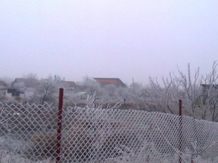 Fotografie0138 - MACEA