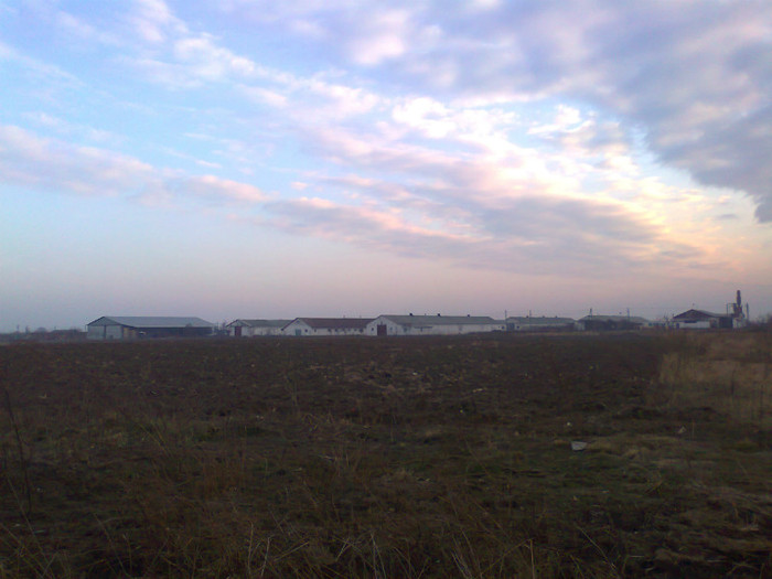 Fotografie0140 - MACEA