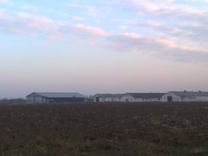 Fotografie0141 - MACEA