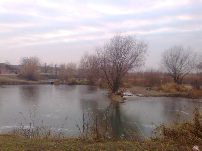 Fotografie0142 - MACEA