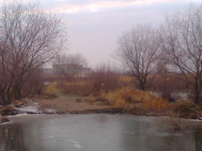 Fotografie0143 - MACEA