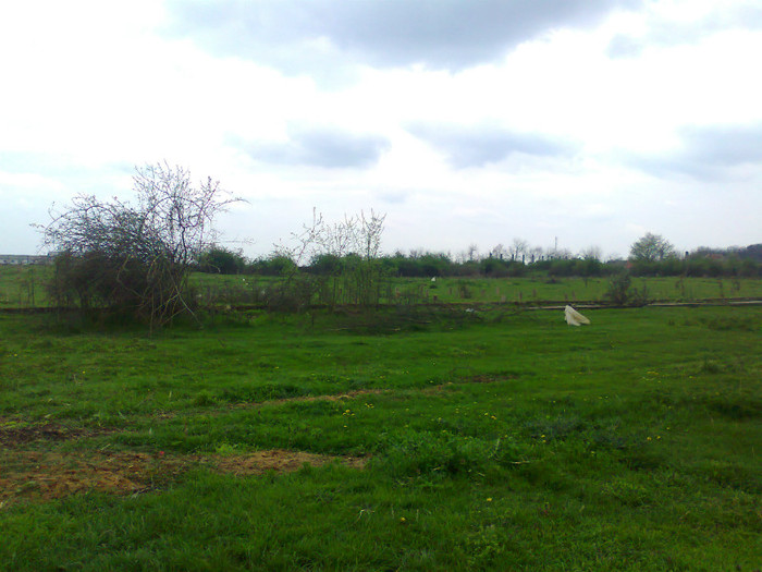 Fotografie0183 - MACEA