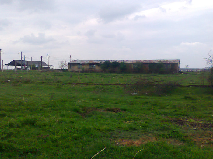 Fotografie0184 - MACEA