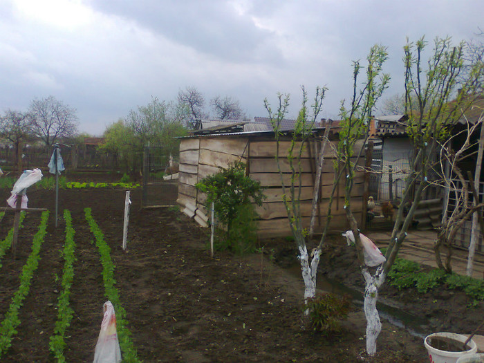 Fotografie0196 - MACEA