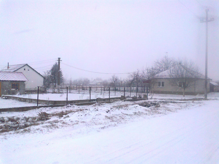 Fotografie0276 - MACEA