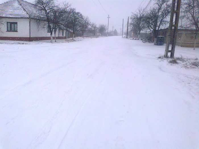 Fotografie0281 - MACEA