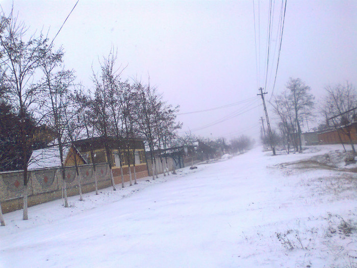 Fotografie0282 - MACEA