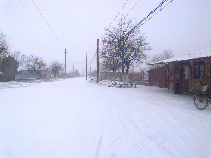 Fotografie0283 - MACEA