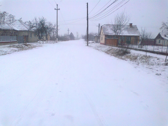 Fotografie0284 - MACEA