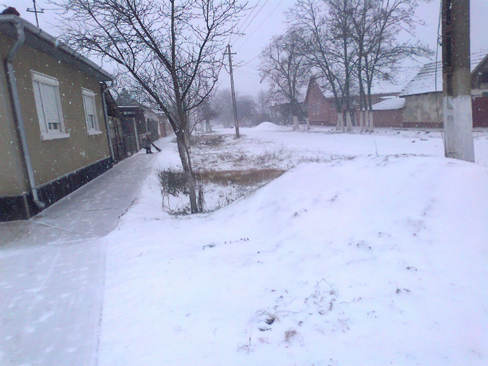 Fotografie0286 - MACEA