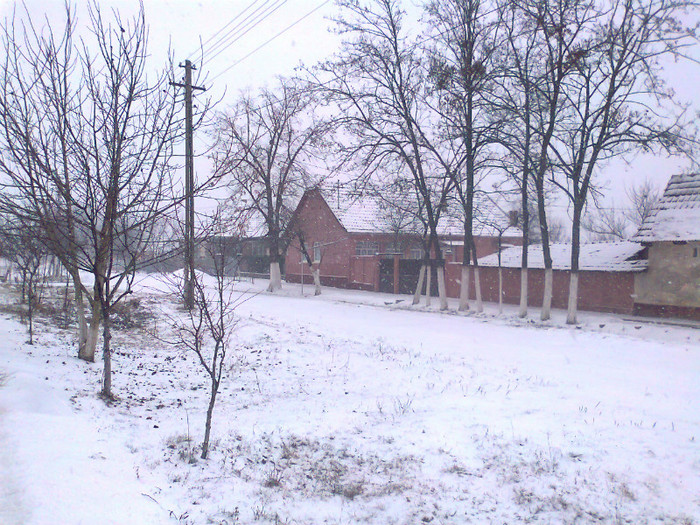 Fotografie0288 - MACEA