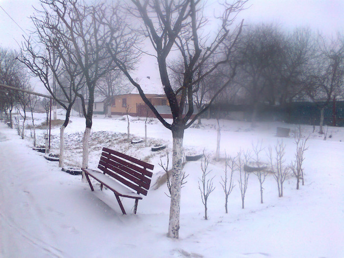 Fotografie0293 - MACEA