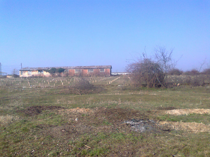 Fotografie0502 - MACEA